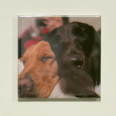 6 x 2x2” Custom Magnet